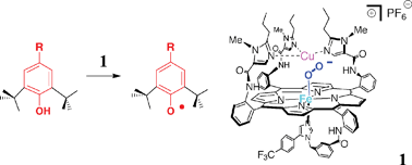 Graphical abstract: Single-turnover intermolecular reaction between a Fe–superoxide–Cu cytochrome c oxidase model and exogeneous Tyr244 mimics