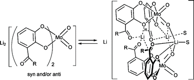 Graphical abstract: Dicatechol cis-dioxomolybdenum(vi): a building block for a lithium cation templated monomer–dimer equilibrium