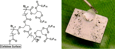 Graphical abstract: Superhydrophobic bio-fibre surfaces via tailored grafting architecture