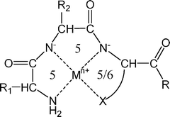 Graphical abstract: Metal ion selectivity of oligopeptides