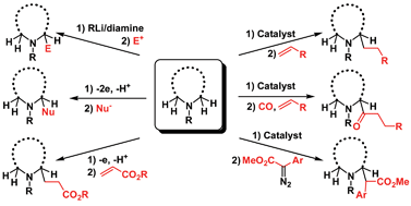 Graphical abstract: Direct sp3 C–H bond activation adjacent to nitrogen in heterocycles