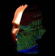 Graphical abstract: Three dimensional visualisation of human facial exposure to solar ultraviolet