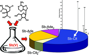 Graphical abstract: Investigating the formation of an Sb(v)–citrate complex by HPLC-ICP-MS and HPLC-ES-MS(/MS)