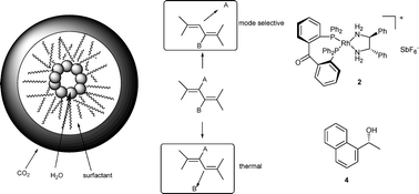Graphical abstract: Highlights