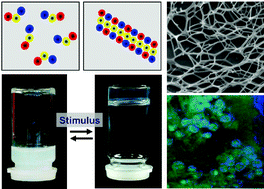 Graphical abstract: Peptide-based stimuli-responsive biomaterials