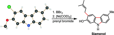 Graphical abstract: First total synthesis of the 7-oxygenated carbazole alkaloids clauszoline-K, 3-formyl-7-hydroxycarbazole, clausine M, clausine N and the anti-HIV active siamenol using a highly efficient palladium-catalyzed approach