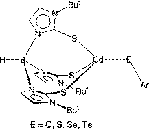 Graphical abstract: Methyl and arylchalcogenolate complexes of cadmium in a sulfur rich coordination environment: syntheses and structural characterization of the tris(2-mercapto-1-tert-butylimidazolyl)hydroborato cadmium complexes [TmBut]CdMe, and [TmBut]CdEAr (E = O, S, Se, Te) and analysis of the bonding in chalcogenolate compounds