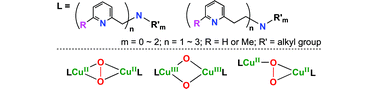Graphical abstract: Structure and O2-reactivity of copper(i) complexes supported by pyridylalkylamine ligands