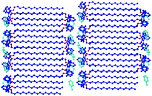 Graphical abstract: Supersized bilayers based on an O-alkyl substituted calix[4]arene