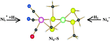 Graphical abstract: How are the ready and unready states of nickel–iron hydrogenase activated by H2? A density functional theory study