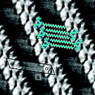 Graphical abstract: An evaluation of the relationship between two- and three-dimensional packing in self-organised monolayers and bulk crystals of amphiphilic 2,2′:6′,2″-terpyridines