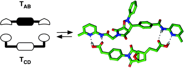 Reciprocal template effects in a simple synthetic system Chemical