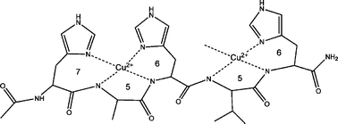 Graphical abstract: Copper(ii) complexes of terminally protected pentapeptides containing three histidyl residues in alternating positions, Ac-His-Xaa-His-Yaa-His-NH2