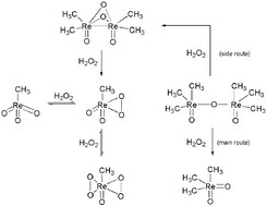 Graphical abstract: Behaviour of dimeric methylrhenium(vi) oxides in the presence of hydrogen peroxide and its consequences for oxidation catalysis