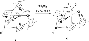 Graphical abstract: Unusual fragmentation of CH2Cl2 by an Ir(iii) centre bonded to a doubly metalated TpMs Ligand (TpMs = hydrotris(3-mesitylpyrazol-1-yl)borate)