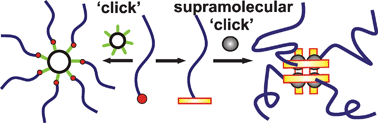 Graphical abstract: Synthesis of star-shaped poly(ε-caprolactone) via ‘click’ chemistry and ‘supramolecular click’ chemistry