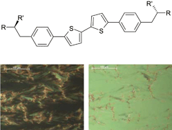 Graphical abstract: Synthesis and properties of α,ω-phenyl-capped bithiophene derivatives