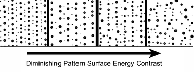 Graphical abstract: Pattern-directed to isotropic dewetting transition in polymer films on micropatterned surfaces with differential surface energy contrast