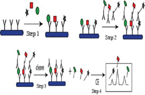 Graphical abstract: Multi-analyte immunoassay using cleavable tags and microchip micellular electrokinetic chromatography