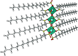 Graphical abstract: Crystal structure analysis of [Ca(O3SC18H37)2(DMSO)2], a lamellar coordination polymer and its relevance for model studies in biomineralization