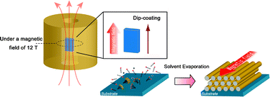 Graphical abstract: Magnetically induced orientation of mesochannels in 2D-hexagonal mesoporous silica films