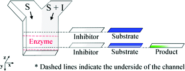 Graphical abstract: High-throughput screening of enzyme inhibition using an inhibitor gradient generated in a microchannel