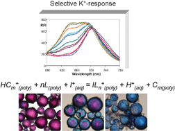 Graphical abstract: K+-selective nanospheres: maximising response range and minimising response time
