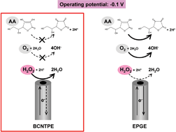 Graphical abstract: The advantage of using carbon nanotubes compared with edge plane pyrolytic graphite as an electrode material for oxidase-based biosensors