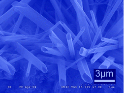 Graphical abstract: Nanoscience and nanotechnology