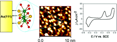 Graphical abstract: Assembled monolayers of Mo3S44+ clusters on well-defined surfaces