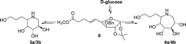 Graphical abstract: Polyhydroxylated homoazepanes and 1-deoxy-homonojirimycin analogues: synthesis and glycosidase inhibition study