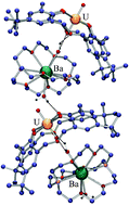 Graphical abstract: Complex-within-complex assemblages from {M([2.2.2]cryptand)(H2O)2}2+ (M = Sr, Ba) and {UO2(p-tert-butyl[3.1.3.1]homooxacalixarene – 4H)}2−