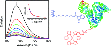 Graphical abstract: Synthesis, crystal structures, electrochemical and protein-binding properties of ferrocene–indole conjugates