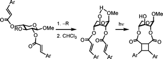 Graphical abstract: Exploitation of sugar ring flipping for a hinge-type tether assisting a [2 + 2] cycloaddition