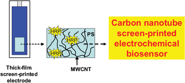 Graphical abstract: Carbon nanotube/polysulfone composite screen-printed electrochemical enzyme biosensors