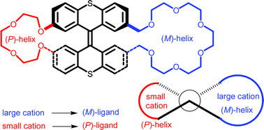 Graphical abstract: Bisthioxanthylidene biscrown ethers as potential stereodivergent chiral ligands