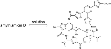 Graphical abstract: Solution structures of thiopeptide antibiotics