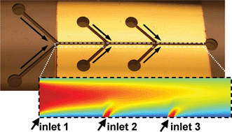 Graphical abstract: Active control of the depletion boundary layers in microfluidic electrochemical reactors