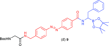 Graphical abstract: Photoswitch inhibitors of α-chymotrypsin—increased substitution and peptidic character in peptidomimetic boronate esters