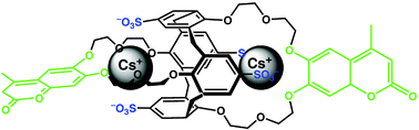 Graphical abstract: Selective detection of cesium by a water-soluble fluorescent molecular sensor based on a calix[4]arene-bis(crown-6-ether)