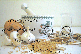 Graphical abstract: A scent of therapy: pharmacological implications of natural products containing redox-active sulfur atoms