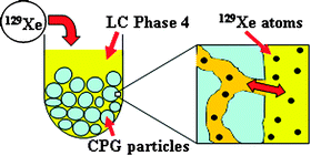 Graphical abstract: 2D 129Xe EXSY of xenon atoms in a thermotropic liquid crystal confined to a controlled-pore glass