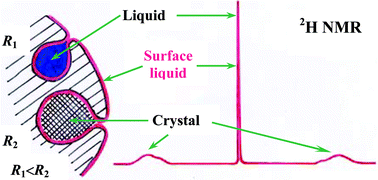 Graphical abstract: Analysis of pore size distribution by 2H NMR