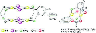 Graphical abstract: Dinuclear palladium(ii) compounds with bridging cyclometalated phosphines. Synthesis, crystal structure and electrochemical study