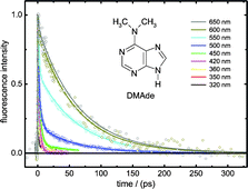 Graphical abstract: A femtosecond time-resolved investigation of dual fluorescence from N6,N6-dimethyladenine