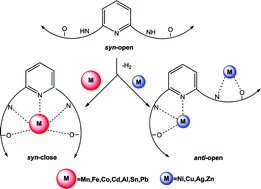 Graphical abstract: Influence of the metal size in the structure of the complexes derived from a pentadentate [N3O2] hydrazone