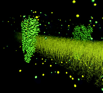 Graphical abstract: Understanding ion channel selectivity and gating and their role in cellular signalling