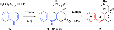 Graphical abstract: Short, asymmetric synthesis of epi-morphine ACNO analogues