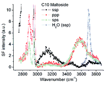 Graphical abstract: Short-range interactions between non-ionic surfactant layers