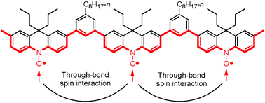 Graphical abstract: Synthesis and through-bond spin interaction of stable 1,3-phenylene-linked polyradical carrying aminoxyls in the π-conjugated main chain